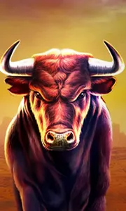 Black Bull